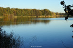 Grasbroek